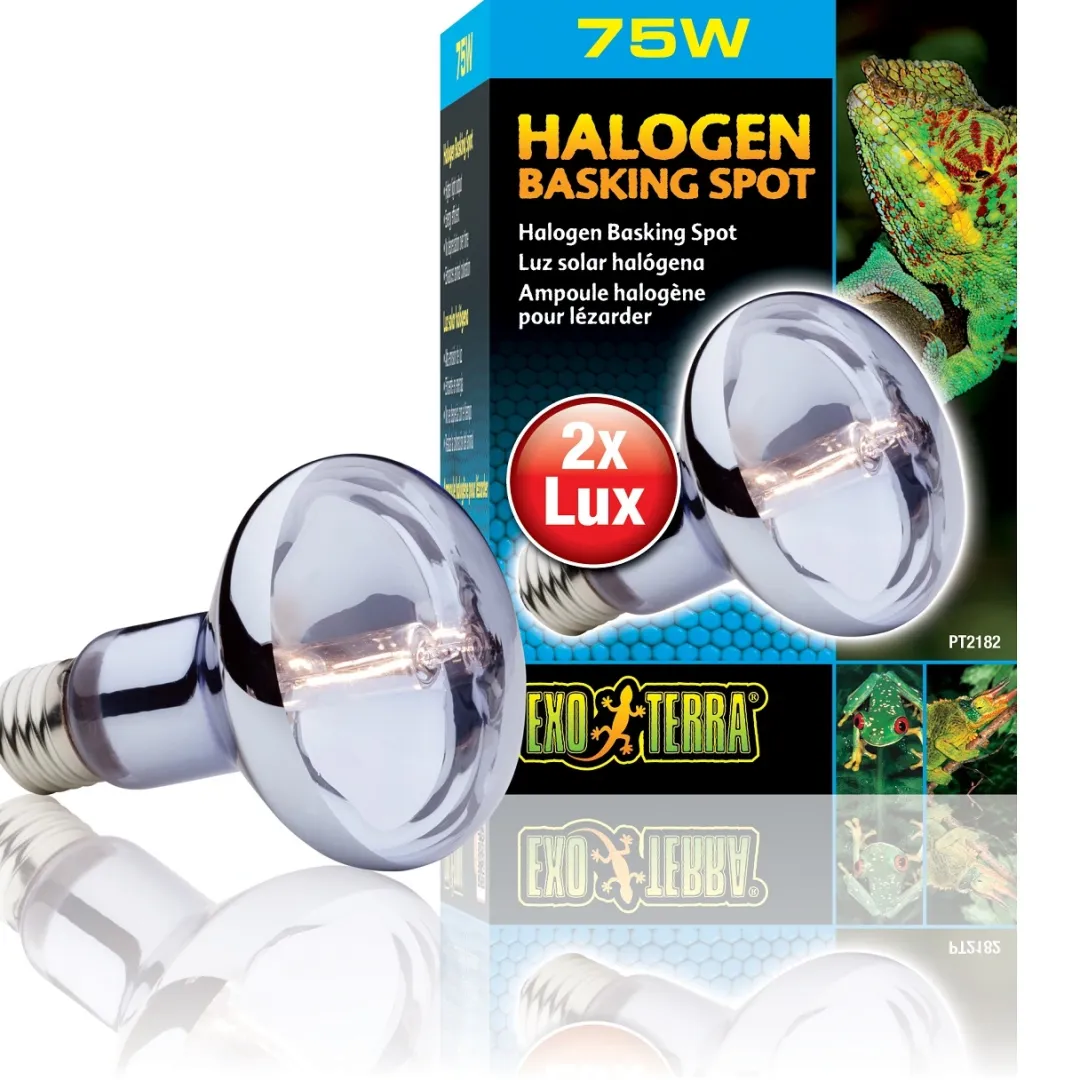 ExoTerra Exo Terra Sun Glo Halogen 75 w