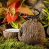 ExoTerra Tiki Kokosnød Vandskål og hule 21x21x11 cm