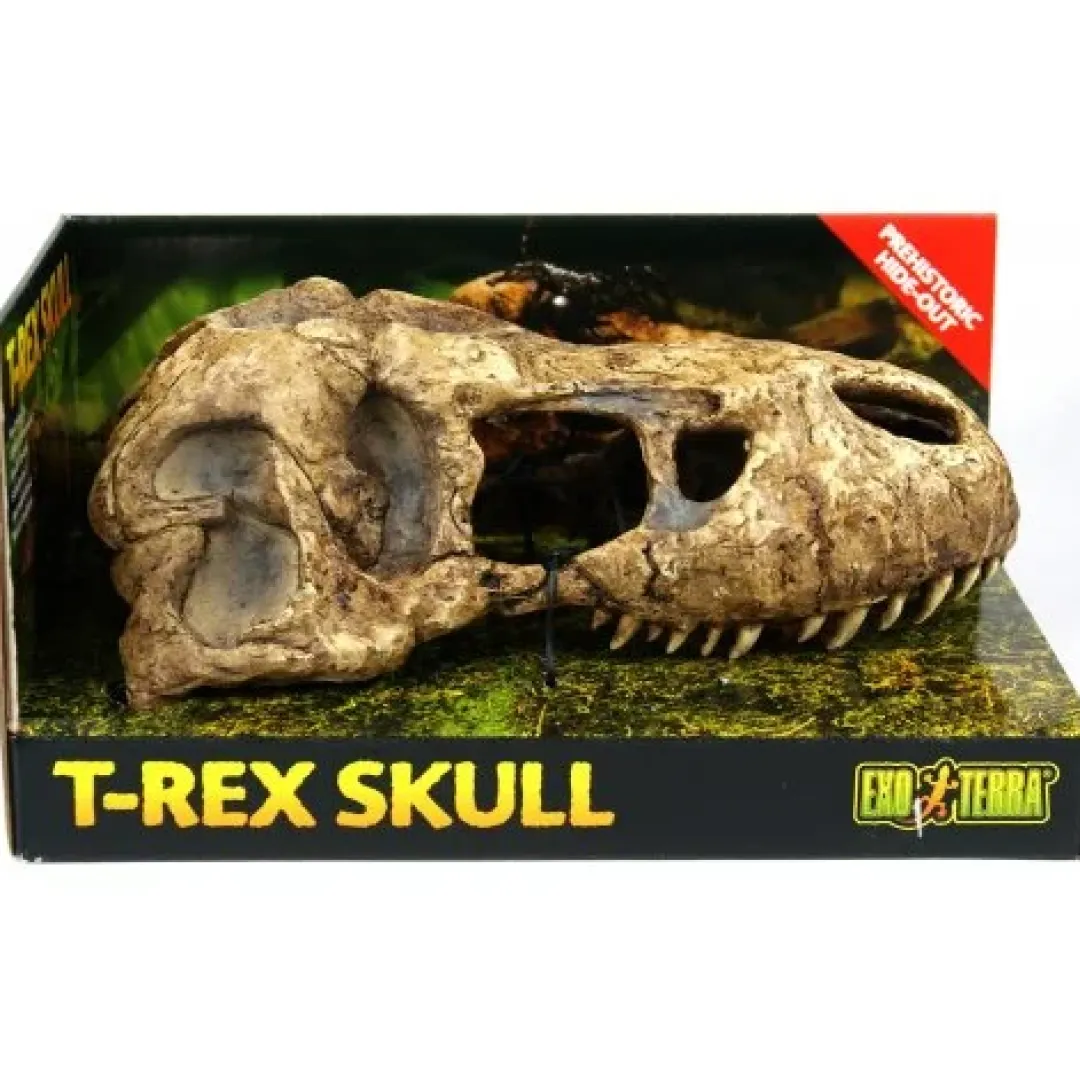 ExoTerra Exo Terra T-Rex kranie lille
