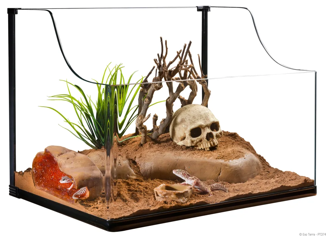 ExoTerra Exo Terra Turtle Grass