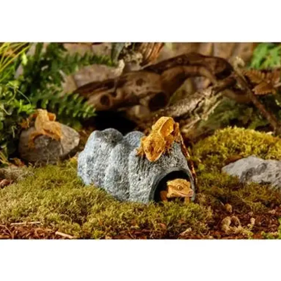 ExoTerra Exo terra Wet Rock Keramisk hule L 20X13X11 cm