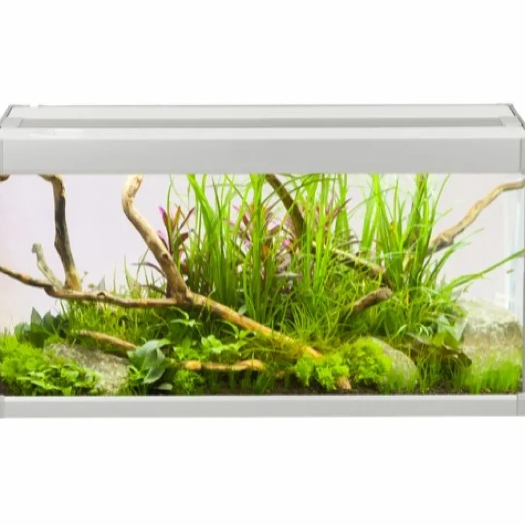 Akvastabil Family Akvarium 60x30x32 cm 54 Liter