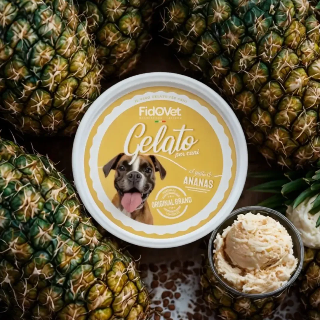 Fidovet Gelato Ananas - Hundeis