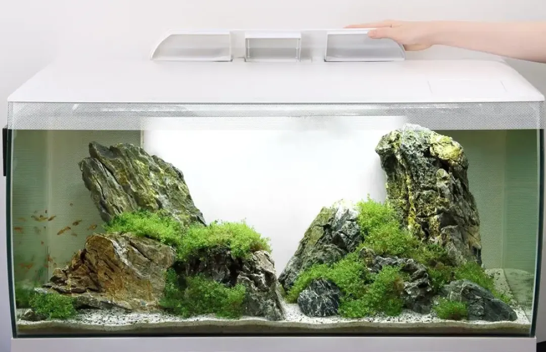 Fluval Flex akvarium 123 Liter Hvid