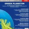 Frostfoder til Akvariefisk Frostfoder Grøn Plankton 100 gram