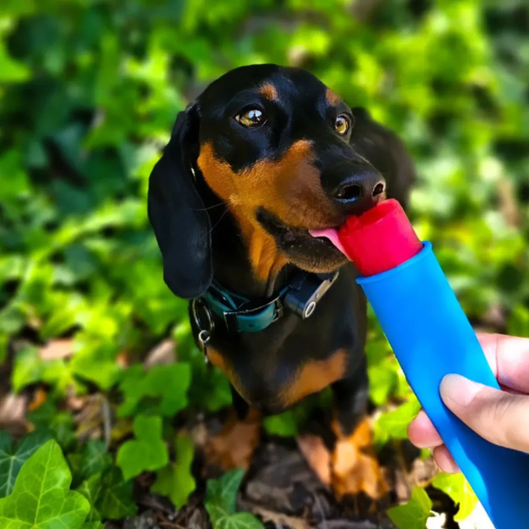 MiniZoo FÜRREE Icecream med æble