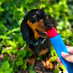 MiniZoo FÜRREE Icecream med Blå Spirulina