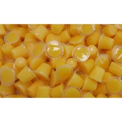 Foder til Krybdyr Frugt Jelly 17 g (Beetle Jelly)