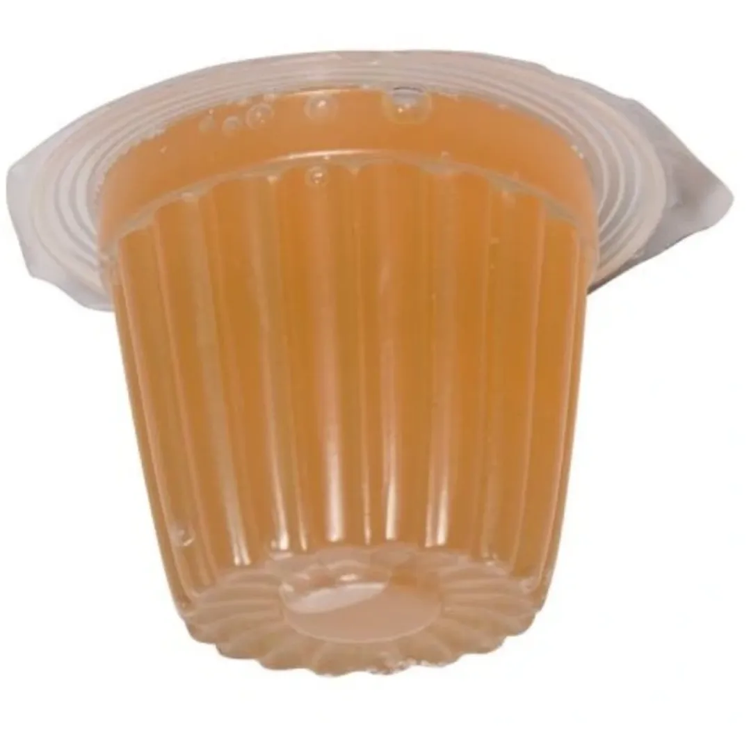 Foder til Krybdyr Frugt Jelly 17 g (Beetle Jelly)