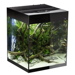 Aquael Glossy akvarie Cube 50x50x63 cm 132 L Sort