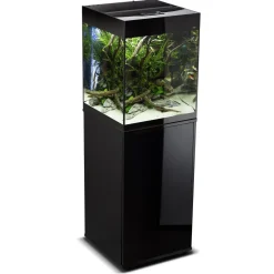 Aquael Glossy akvarie Cube 50x50x63 cm 132 L Sort