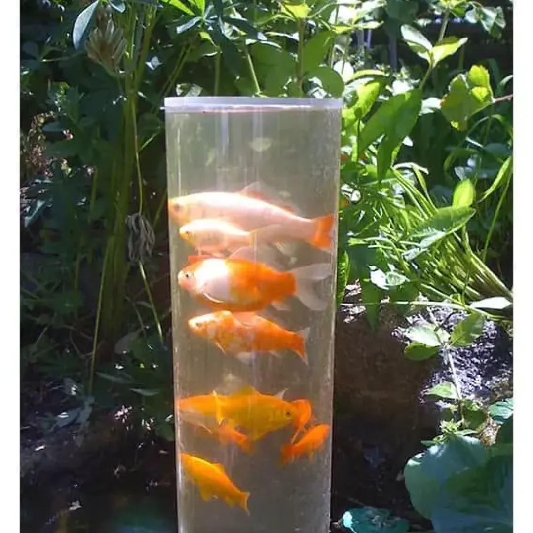 MiniZoo Guldfiskerør 66 cm