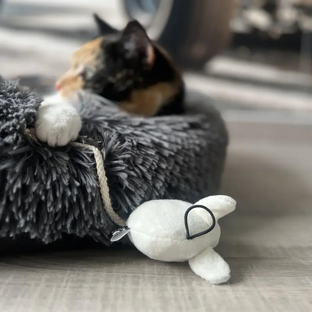 D&D Home HappyCat Kattelegetøj MOOSY 2 stk