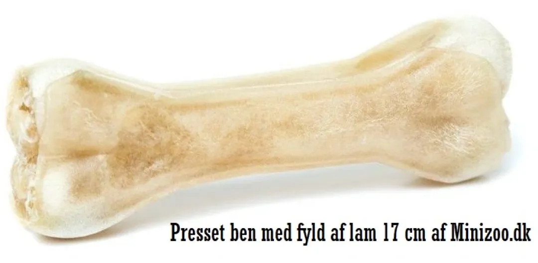 Treattime Håndlavet Presset Tyggeben med fyld af lam 17 cm 115 g - stort tyggeben til hunde