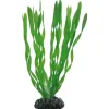 Hobby Vallisneria 20 cm