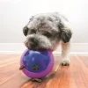 Kong Hopz Ball Large - aktiveringslegetøj til hunde
