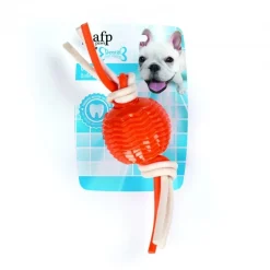 AFP All for paws Hunde Dental bidelegetøjs Bold - tandplejende hundelegetøj