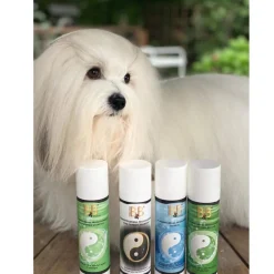 B&B Økologisk Hundeshampoo Hundefrisørens professionelle Duo Carbon shampoo 200 ml