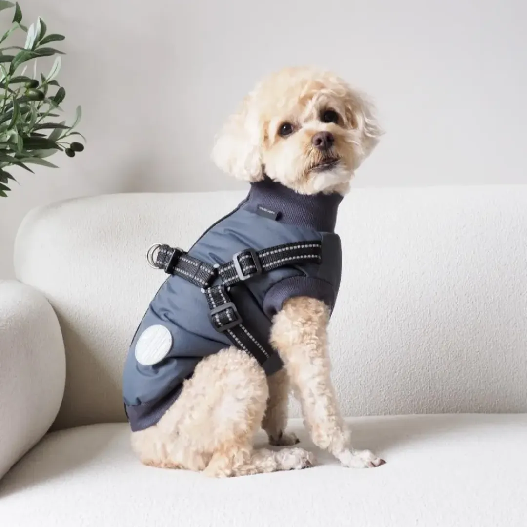Nordic Paws Hundejakke Thor med indbygget sele koksgrå L