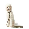 Hunter Aalborg Sport Oliven 47 hundehalsbånd - 37-43 cm