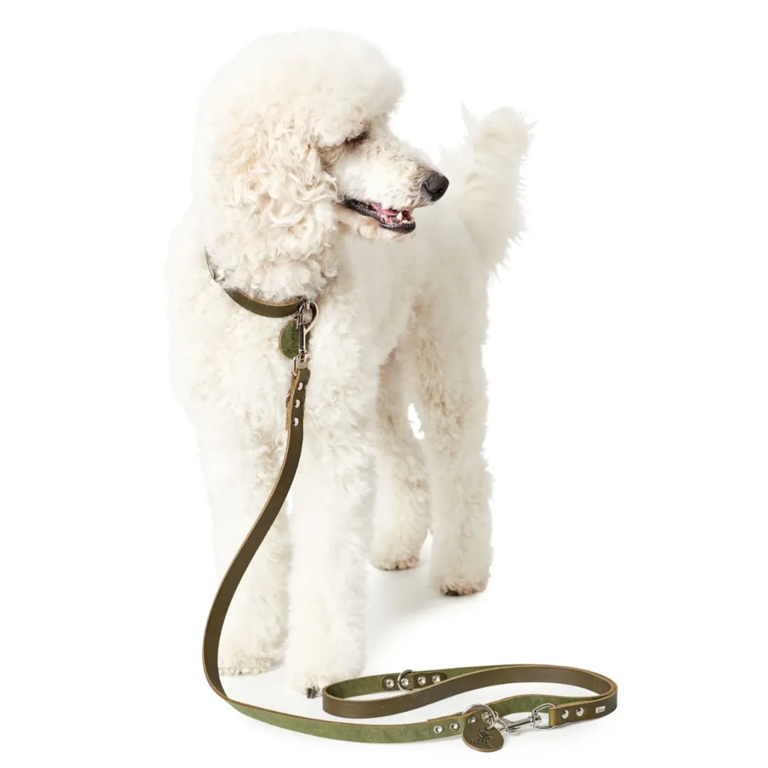 Hunter Aalborg Sport Oliven 47 hundehalsbånd - 37-43 cm