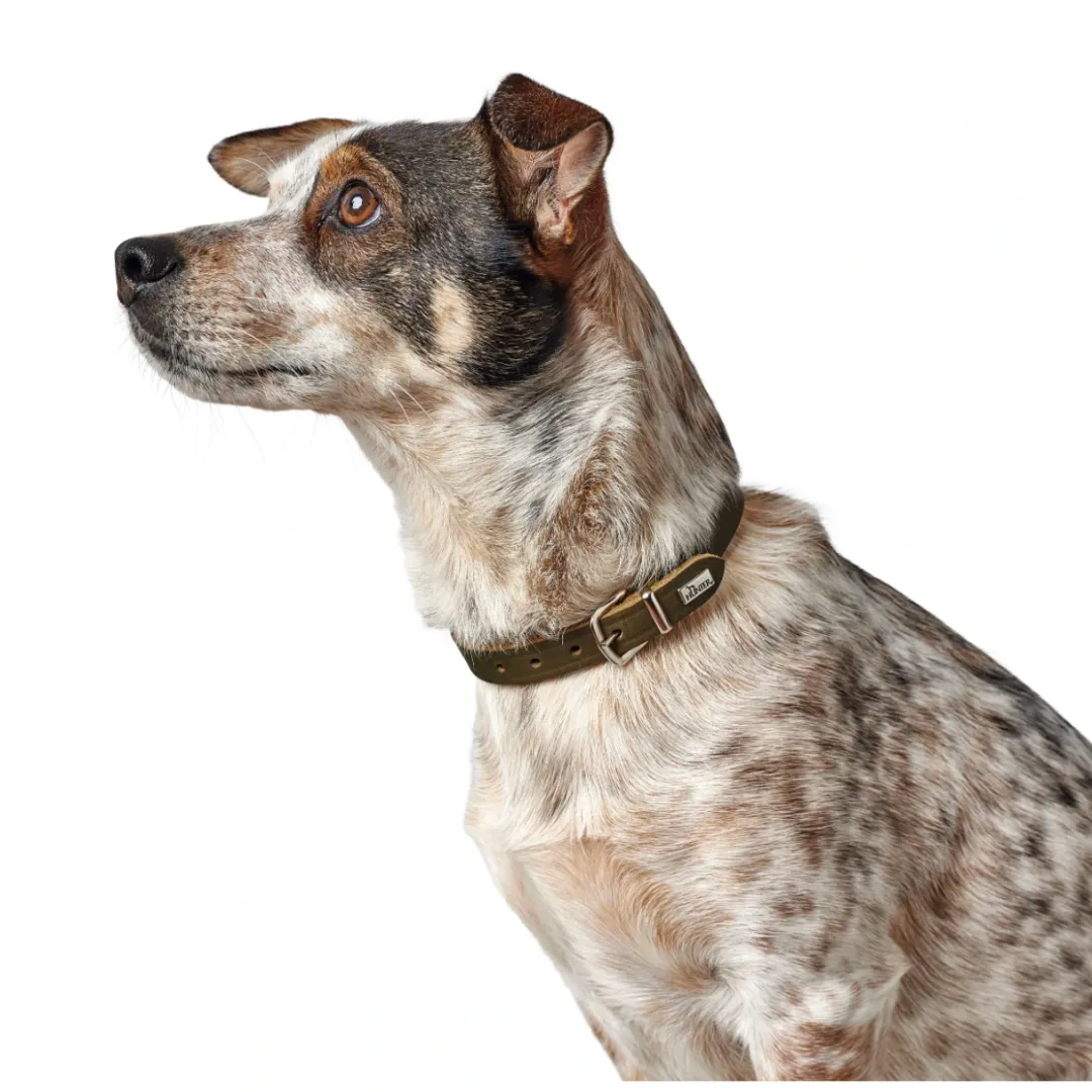 Hunter Aalborg Sport Oliven 47 hundehalsbånd - 37-43 cm