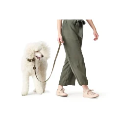 Hunter Aalborg Sport Oliven 52 hundehalsbånd - 38-47 cm