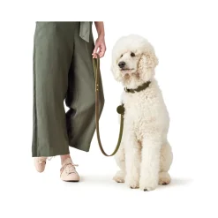 Hunter Aalborg Sport Oliven 52 hundehalsbånd - 38-47 cm