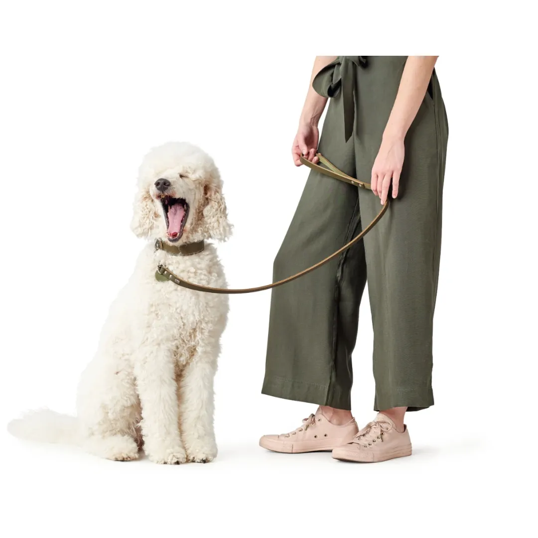 Hunter Aalborg Sport Oliven 52 hundehalsbånd - 38-47 cm