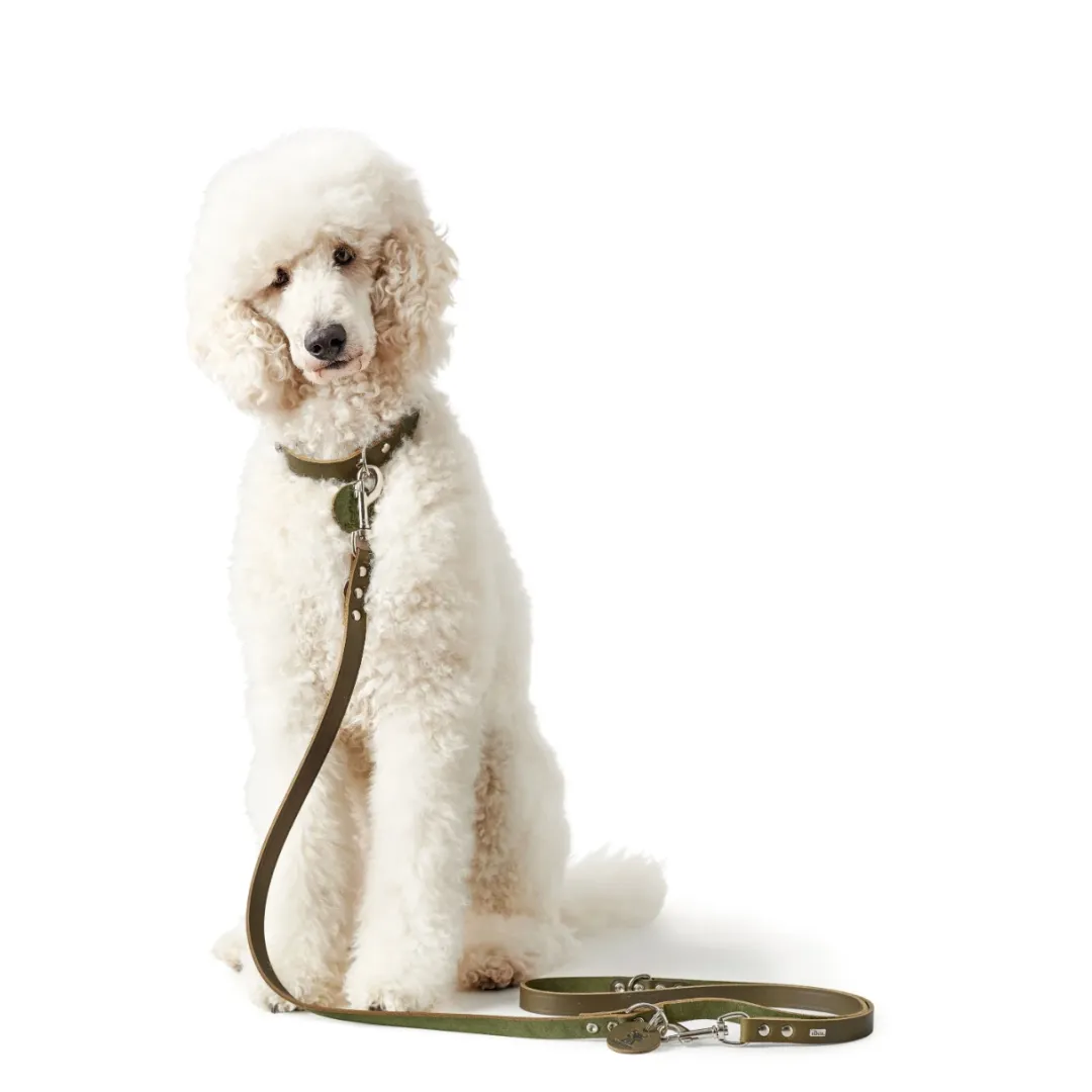 Hunter Aalborg Sport Oliven 60 hundehalsbånd - 45-55 cm