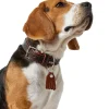 Hunter Cody 65 Mørkebrun Cognac hundehalsbånd - 50-56 cm