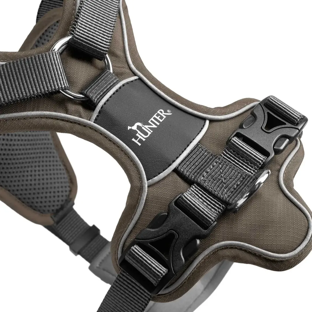 Hunter Divo hundesele L brun/grå just mave 72-100 cm - Kraftig støtte og tryg pasform