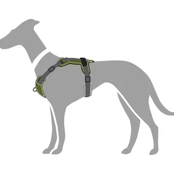 Hunter Divo hundesele L grøn/grå just mave 72-100 cm - Stabil kontrol og komfort