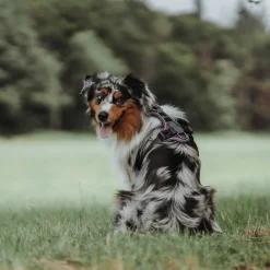 Hunter Divo hundesele L violet/grå just mave 72-100 cm - Stabil støtte og fri bevægelse