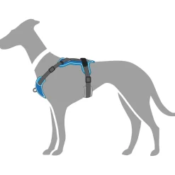 Hunter Divo hundesele L-XL lyseblå/grå just mave 79-107 cm - Sikker pasform og høj komfort