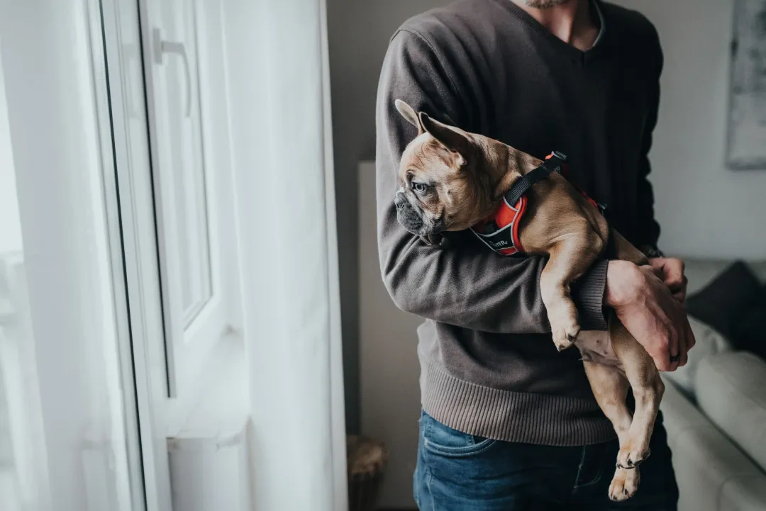 Hunter Divo hundesele L-XL rød/grå just mave 79-107 cm - Ekstra stabilitet og komfort