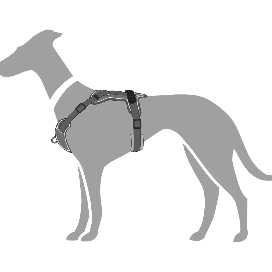 Hunter Divo hundesele M grå/grå just mave 56-73 cm - Stabil kontrol og komfort
