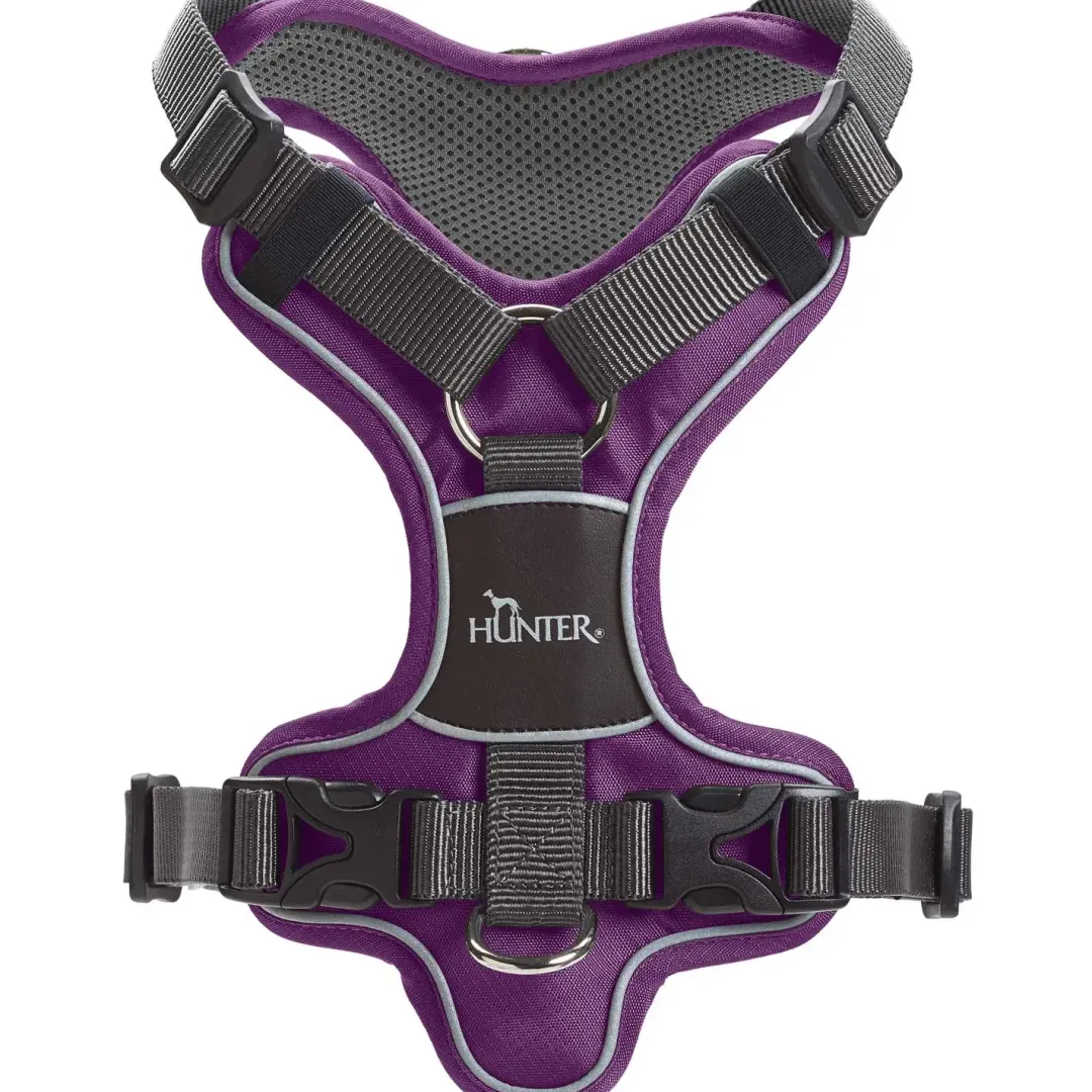 Hunter Divo hundesele M violet/grå just mave 56-73 cm - Balanceret pasform og komfort