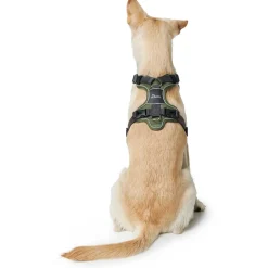 Hunter Divo hundesele S grøn/grå just mave 45-56 cm - Fleksibel kontrol og let komfort