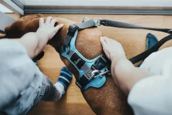 Hunter Divo hundesele S lyseblå/grå just mave 45-56 cm - Let kontrol og høj komfort