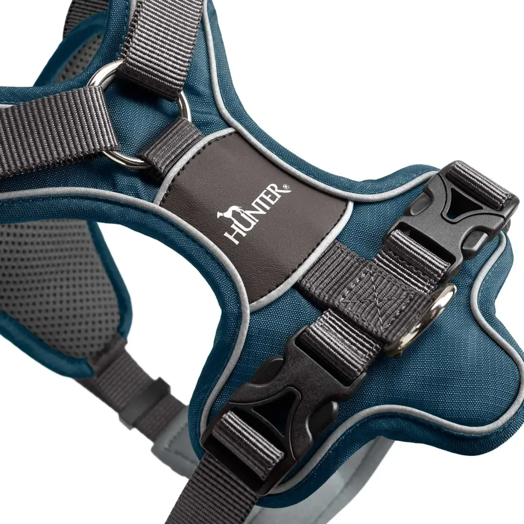 Hunter Divo hundesele S-M petrol/grå just mave 52-68 cm - Stabil støtte og rolig bevægelse