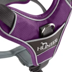 Hunter Divo hundesele S-M violet/grå just mave 52-68 cm - Fleksibel støtte og komfort