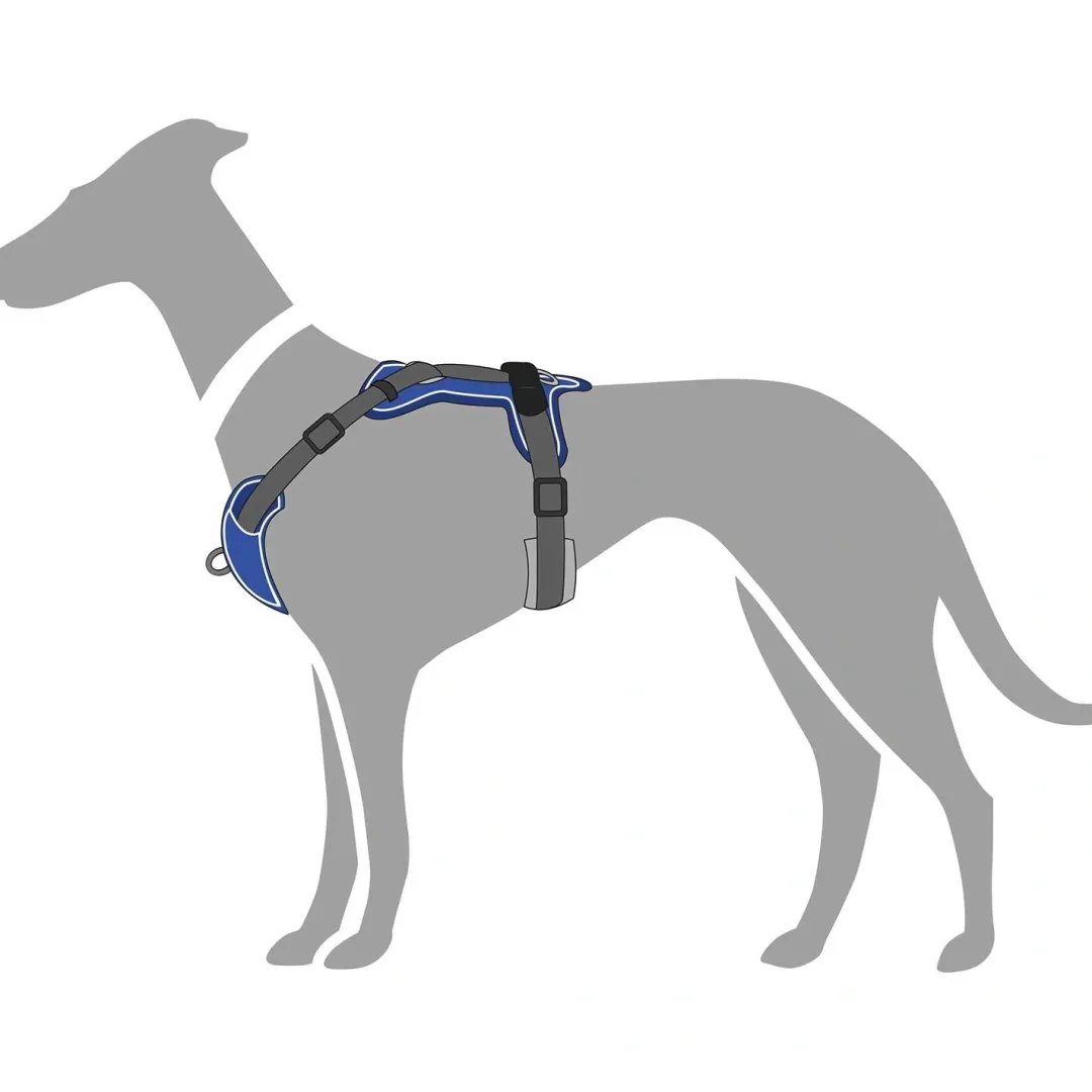 Hunter Divo hundesele S petrol/grå just mave 45-56 cm - Fleksibel kontrol og komfort i balance