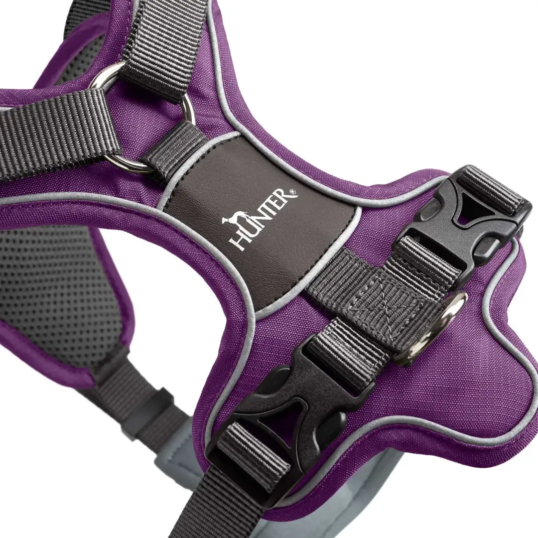 Hunter Divo hundesele S violet/grå just mave 45-56 cm - Tryg pasform og bevægelse