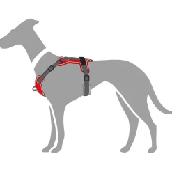 Hunter Divo hundesele XS rød/grå just mave 34-47 cm - Let pasform og tryg kontrol