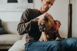 Hunter Divo hundesele XS rød/grå just mave 34-47 cm - Let pasform og tryg kontrol