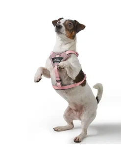 Hunter Divo Up hundesele L lyserød just mave 72-100 cm - Stabil støtte og rolig bevægelse