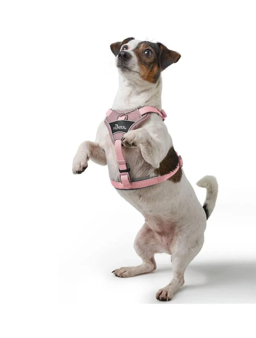 Hunter Divo Up hundesele M lyserød just mave 56-73 cm - Stabil bevægelse og afbalanceret komfort