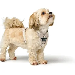 Hunter Divo Up hundesele S beige just mave 45-56 cm - Rolig påtagning og stabil komfort