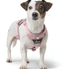 Hunter Divo Up hundesele XS lyserød just mave 34-47 cm - Blid påtagning og let ergonomisk komfort